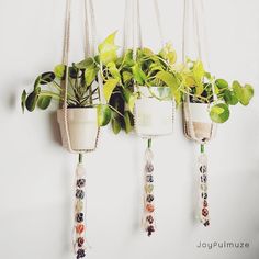 three hanging planters with plants in them