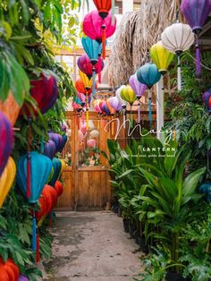 many colorful lanterns hanging from the ceiling in a garden area with palm trees and other plants