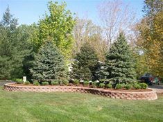 some trees and bushes in the middle of a park