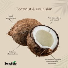 COCONUT OIL. ⁠ ⁠ We all know Coconut has many significant benefits and uses. With its natural fatty acids, this ingredient acts as an antibacterial, anti fungal and an antioxidant, which is useful in treating the skin.⁠ ⁠ You can find this ingredient in our award-winning and refreshing Radiance Facial Exfoliating Scrub, ⁠Vitamin C infused Skin Bliss Daily Moisturiser⁠ as well as our restorative and hydrating Evening Elixir Night Cream.⁠ ⁠ Keep glowing 💚⁠ ⁠ #sens8ate #naturalskincare #cosmetics Coconut Scrub, Hair And Skin Vitamins, Benefits Of Coconut, Coconut Oil For Face, Homemade Scrub, Coconut Health Benefits, Natural Glowing Skin, Benefits Of Coconut Oil, Coconut Oil For Skin