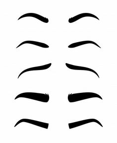 an image of different types of eyebrows on white background stock photo - 549782