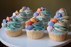 cupcakes with blue frosting and sea shells on them sitting on a white plate