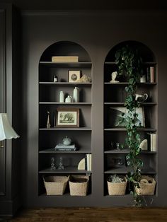 two bookshelves with plants and pictures on them