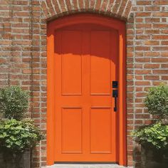 an orange front door with potted plants on either side and brick wall in the background