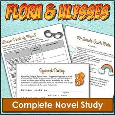 flori & llyses complete novel study with answers and worksheet for the flori - lyssee