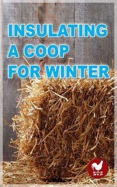 a pile of hay with the words insulating a coop for winter written below it