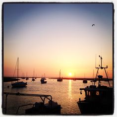 the sun is setting over some boats in the water and birds are flying above them