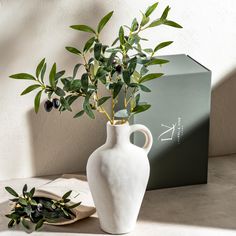 a white vase sitting on top of a table next to a plate and an olive tree