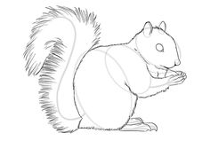 a drawing of a squirrel sitting on its hind legs