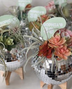 several succulents and other plants are placed in disco ball vases