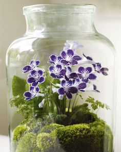 a glass jar filled with purple and white flowers on top of green moss covered ground