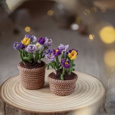 two small crocheted pots with flowers in them