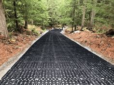 an empty road surrounded by trees in the woods