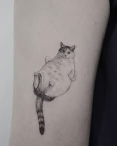 a black and white photo of a cat on the arm