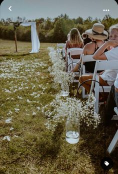 people are sitting in white chairs on the grass with their backs turned to the camera