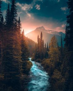 a river running through a lush green forest under a bright sunlit sky with mountains in the background