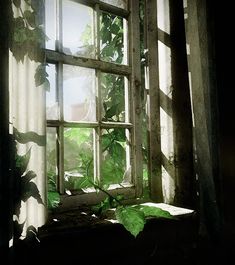 the sun shines through an open window with ivy growing on it's sides