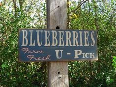 a blueberryries sign on a wooden pole in front of some trees and bushes