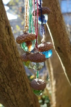 a group of pine cones hanging from a tree