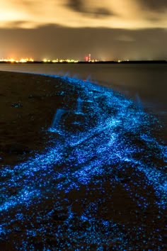 a beach covered in blue lights next to the ocean