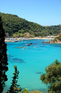 boats are in the clear blue water near trees