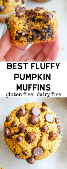 the best fluffy pumpkin muffins are gluten free and dairy free