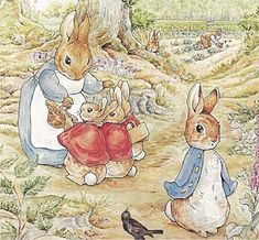 an image of two rabbits playing with each other in the woods and one rabbit is holding onto another bunny's back