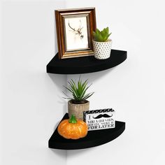 two black shelves with plants and pictures on them