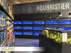 an aquarium in a store filled with lots of plants and fish inside of the shelves