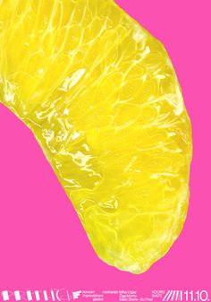 a close up of an orange slice on a pink background