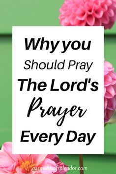 pink flowers with the words, why you should pray the lord's prayer every day