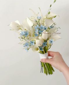 a hand holding a bouquet of white and blue flowers