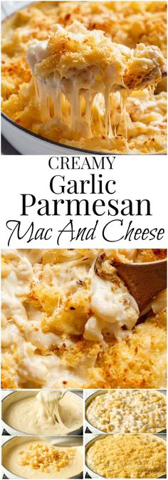 creamy garlic parmesan mac and cheese is the perfect side dish for any meal