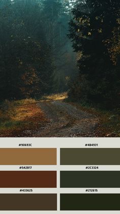 an image of a dirt road in the woods with trees on both sides and color swatches