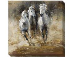 two white horses are running in the dirt together, one is blurry and the other is blurred