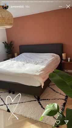 a bed sitting on top of a wooden floor next to a plant in a bedroom