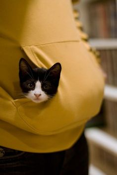 a small black and white cat peeking out from behind a person's back pocket