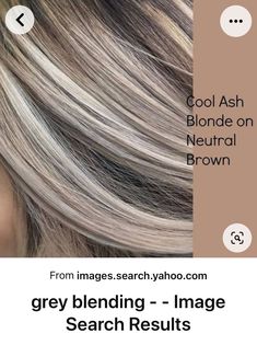 Platinový Blond, Grey Transition, Cool Ash Blonde, Rambut Brunette, Ash Blonde Hair Colour, Long Shag, Chunky Highlights, Ash Blonde Highlights, Ashy Blonde