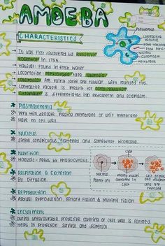 Amoeba all information hand written notes Nutrition In Amoeba Notes, Asthetic Notes Biology, Microorganisms Notes Class 8, Phylum Cnidaria Notes, Class 9 Science Notes Biology, Microorganisms Notes, Notes For Biology, Bio Notes, Neet Notes