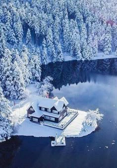 an aerial view of a house surrounded by snow covered trees and water in the foreground