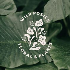 the logo for wild posies floral and plants is displayed on a leafy plant