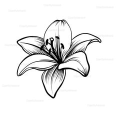 a black and white drawing of a flower