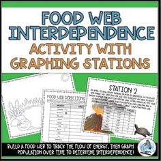 food web poster with text and pictures