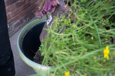 a person standing next to a trash can filled with dirt and weeds, in front of a brick wall