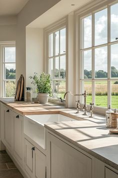 a large kitchen with lots of windows and counter space in front of the window is a potted plant