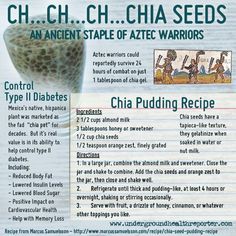 Chia Gel, Chia Recipe, Chia Seed Recipes, Chia Pudding Recipes, Chia Seed Pudding, Chia Pudding, Chia Seeds