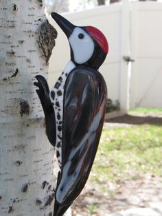 a woodpecker is perched on the side of a birch tree in front of a white fence