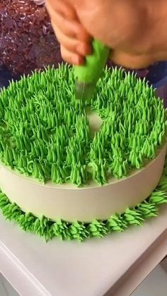 someone is decorating a cake with fake grass