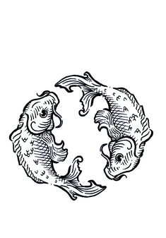 a black and white drawing of two fish