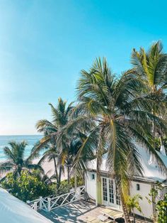 palm trees line the beach in front of a white house